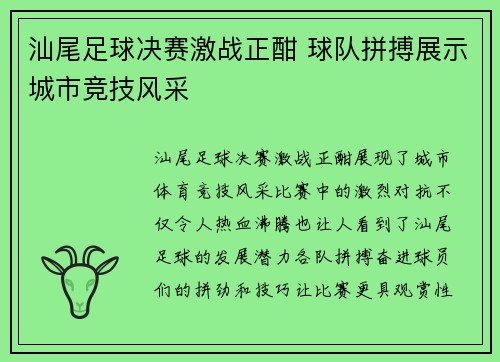 汕尾足球决赛激战正酣 球队拼搏展示城市竞技风采