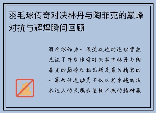 羽毛球传奇对决林丹与陶菲克的巅峰对抗与辉煌瞬间回顾