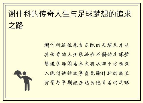 谢什科的传奇人生与足球梦想的追求之路