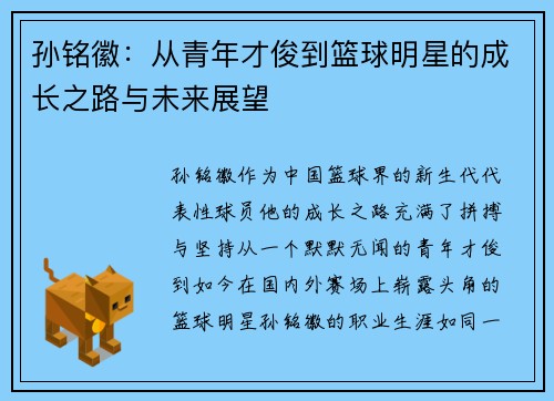 孙铭徽：从青年才俊到篮球明星的成长之路与未来展望