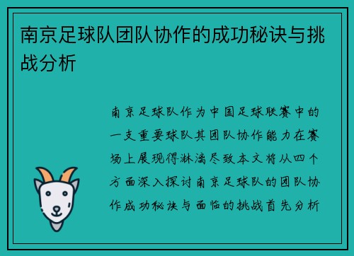 南京足球队团队协作的成功秘诀与挑战分析
