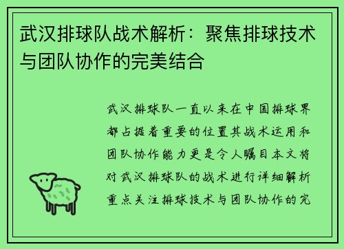 武汉排球队战术解析：聚焦排球技术与团队协作的完美结合